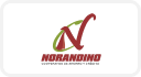 norandino logo