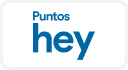puntoshey logo